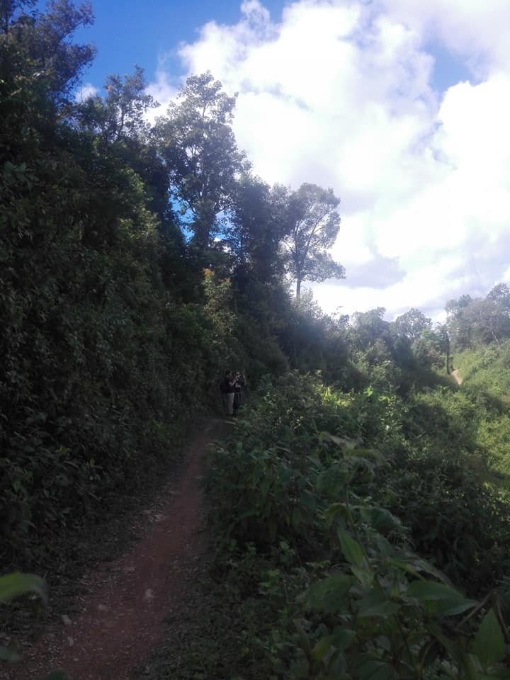 3 Days Phou Louey Mountain Summit Trekking Tour